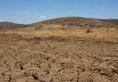 COP17 da Desertificação começa na Mongólia com foco em solo, seca e pastagens