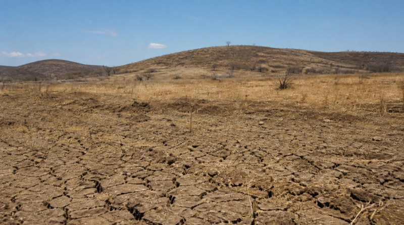 COP17 da Desertificação começa na Mongólia com foco em solo, seca e pastagens