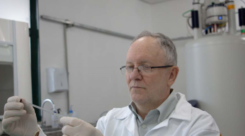 Cientistas identificam ‘impressão digital química’ para rastrear a origem do pescado