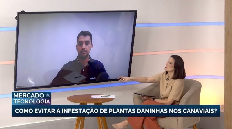 Clima desafiador exige atenção redobrada no manejo de cana-de-açúcar
