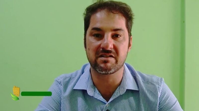Colheita do milho avança no norte de Mato Grosso com desafios persistentes