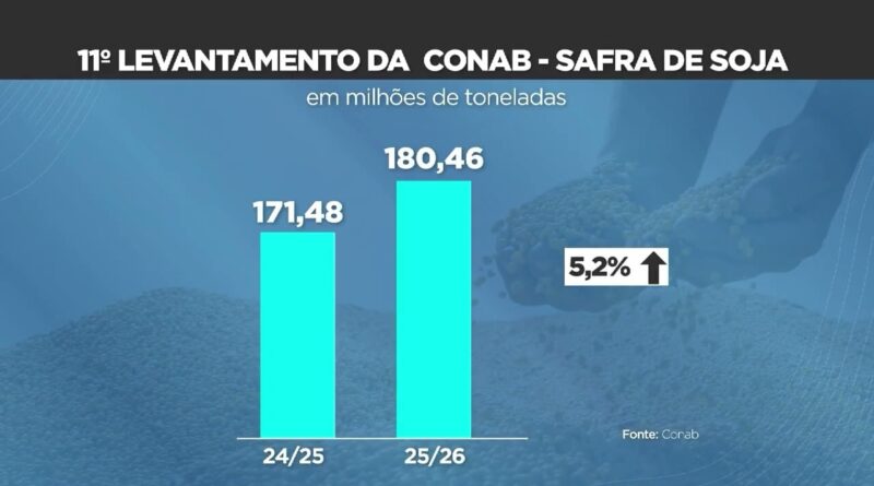 Conab eleva projeção da safra de grãos 25/26 com recorde de algodão