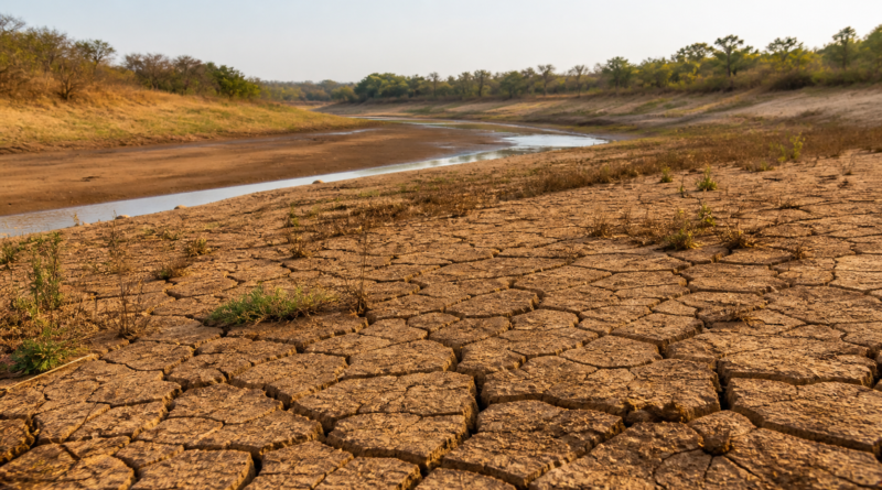 Conab participa de oficinas para plano de enfrentamento à estiagem