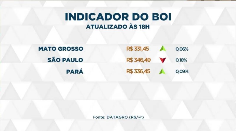 Cotações do boi gordo superam R$ 330 nos principais mercados brasileiros