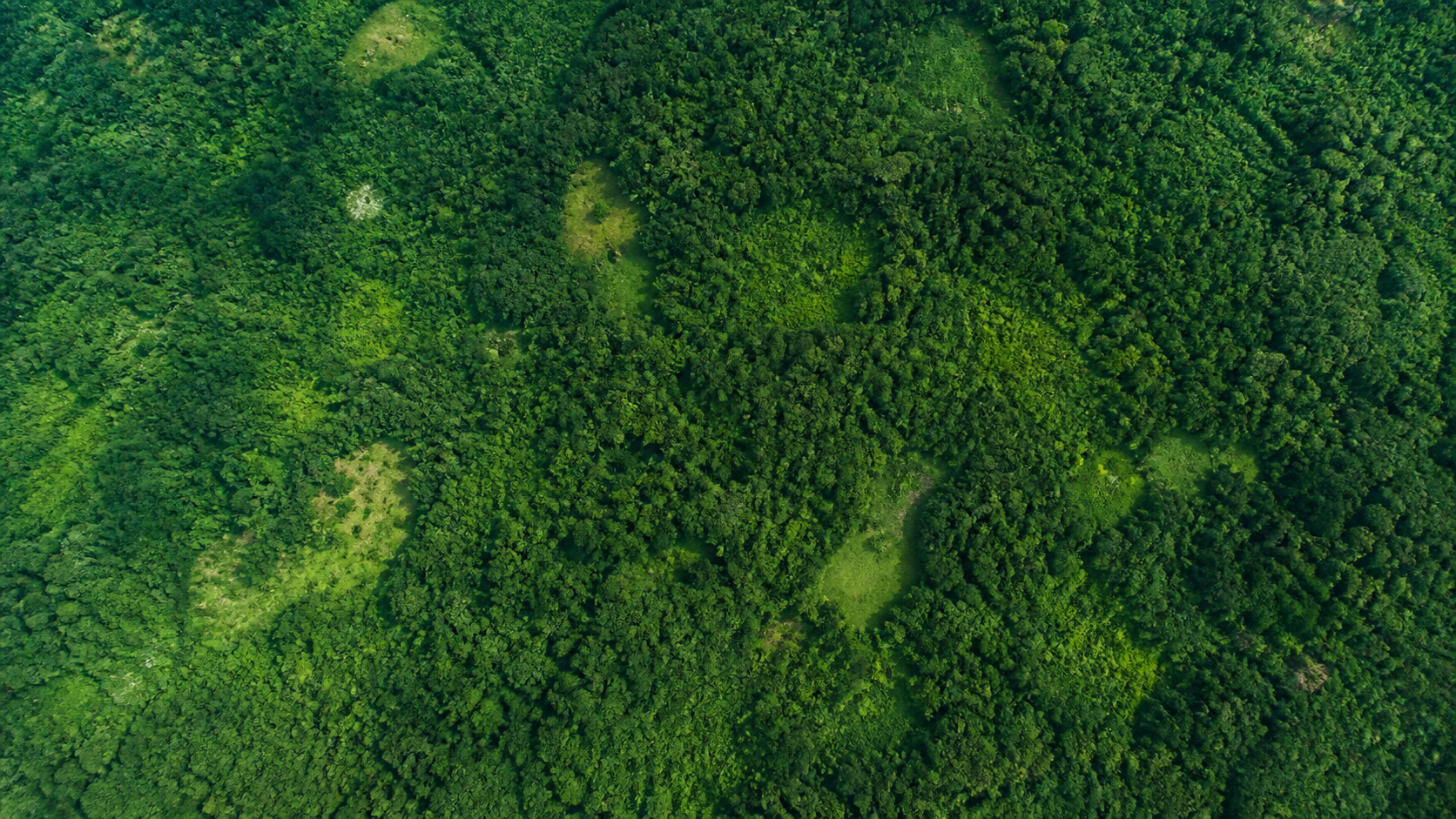 Desmatamento na Amazônia recua 36,87% no ciclo 2025/2026