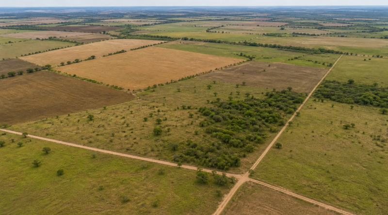 Duas fazendas em Campos dos Goytacazes serão incorporadas à reforma agrária