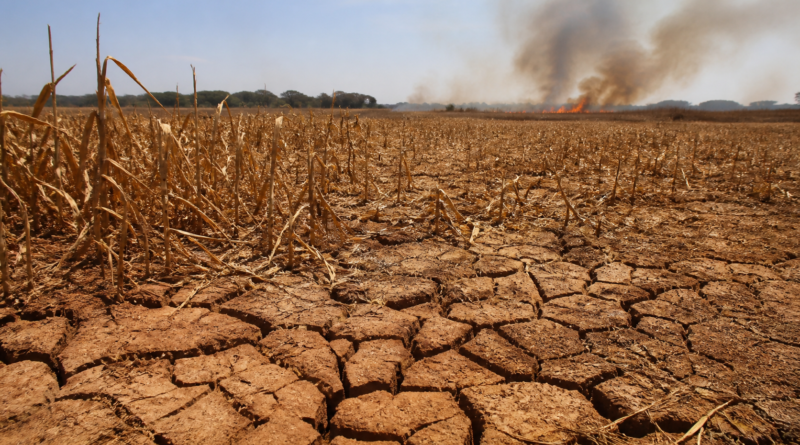 El Niño pode intensificar ondas de calor, secas e incêndios no Brasil
