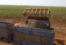 Empresas do agronegócio têm até 31 para informar investimentos e reduzir impostos