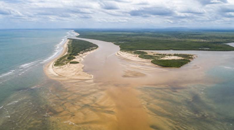Estudo registra taxa recorde de deformações em peixes no litoral norte do ES