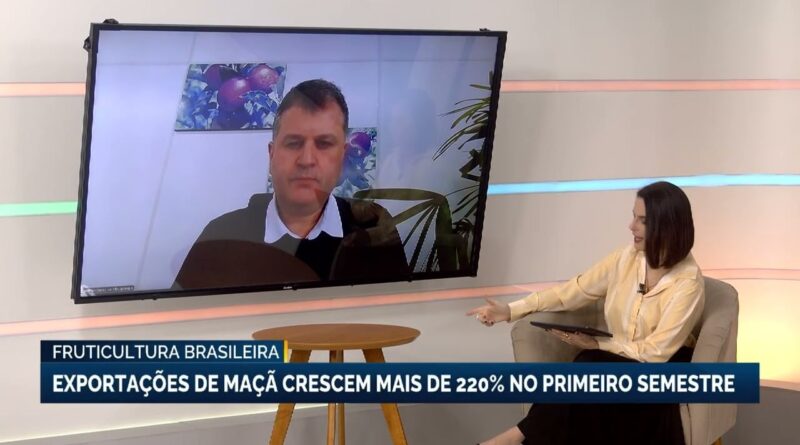 Exportações de maçã do Brasil crescem 220% no primeiro semestre de 2023