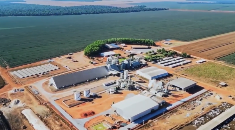 Fazenda Horizontina: a história por trás do local que sediará a Abertura Nacional do Plantio de Soja 26/27!