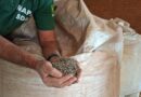Fertilizantes