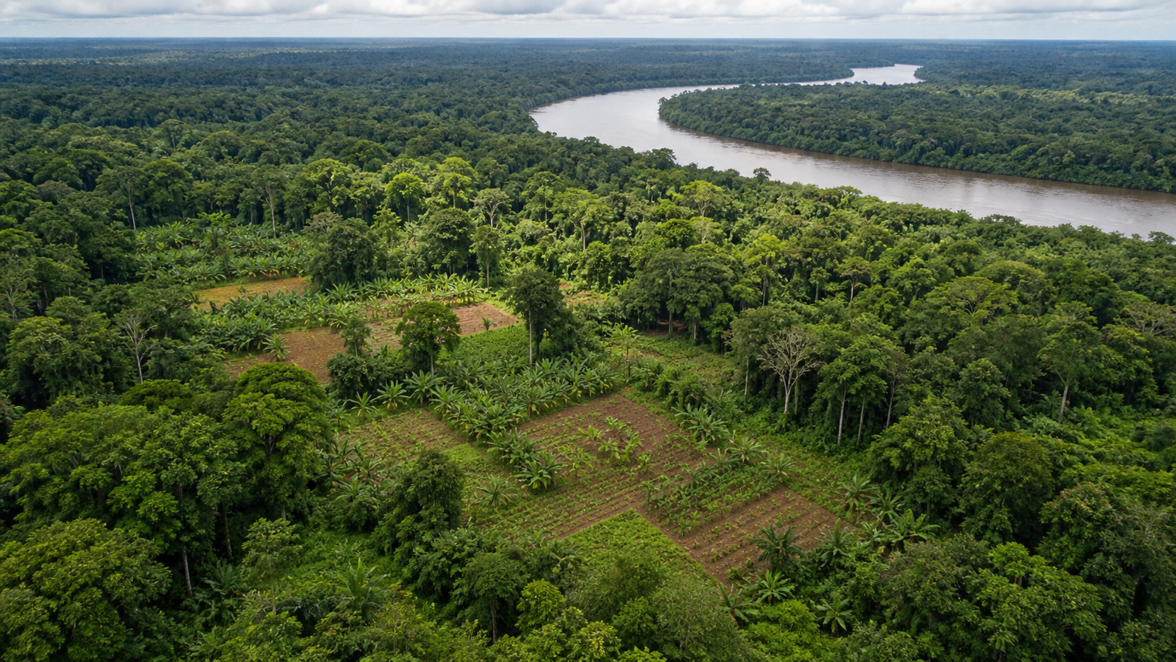 Fundo Amazônia destina R$ 34,6 milhões a projeto agroecológico no Pará e em Mato Grosso