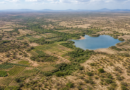 Grande Muralha Verde soma 1,66 milhão de hectares em restauração no Sahel