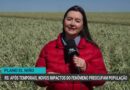 Impactos do El Niño geram preocupação entre agricultores do Rio Grande do Sul