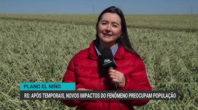 Impactos do El Niño geram preocupação entre agricultores do Rio Grande do Sul