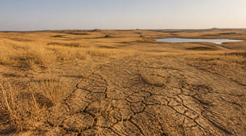 Indígenas cobram participação efetiva nas negociações da COP17 da Desertificação