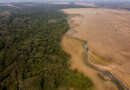 MapBiomas aponta menor resiliência ao El Niño em áreas com perda de vegetação nativa