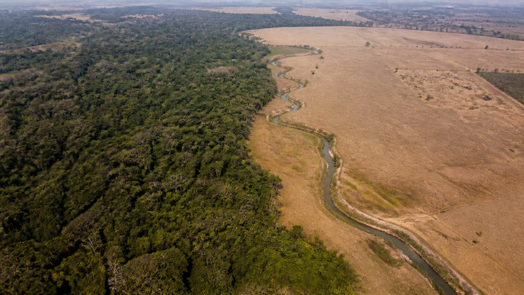 MapBiomas aponta menor resiliência ao El Niño em áreas com perda de vegetação nativa