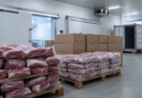 Beef Report 2026 aponta produção recorde e R$ 1,15 trilhão na pecuária de corte