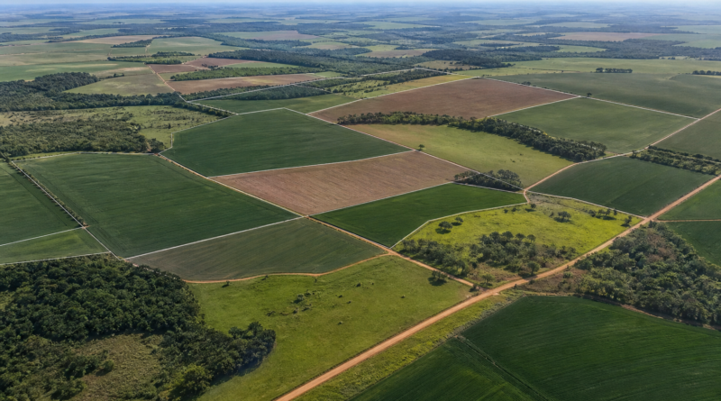 Mudanças no ITR avançam na CAE com novas regras para o Valor da Terra Nua