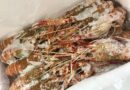 Pescados