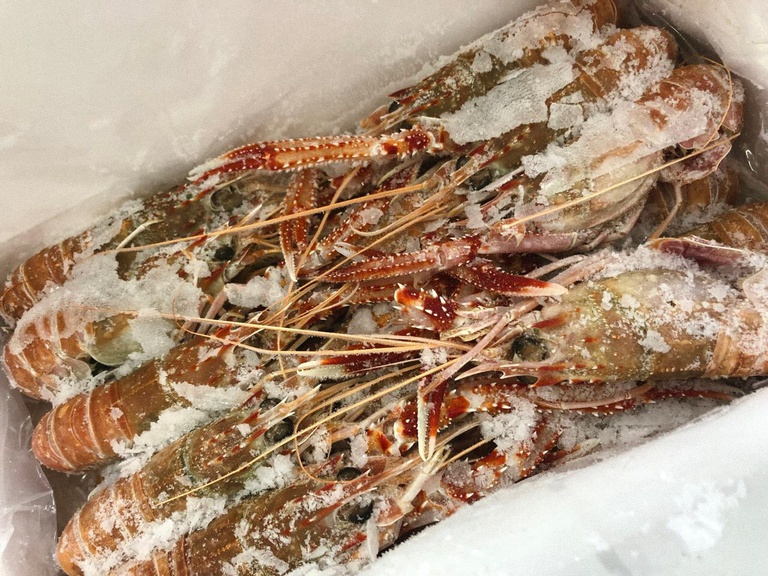 Pescados