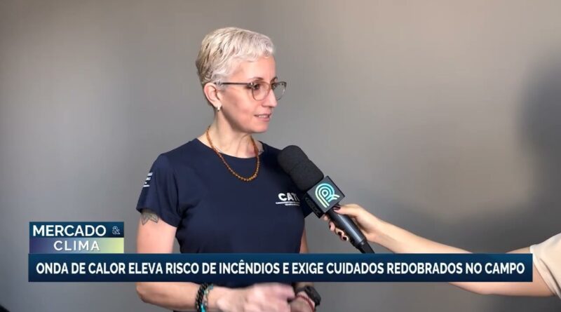 Onda de calor em São Paulo aumenta risco de incêndios florestais