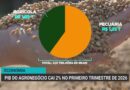PIB do agronegócio brasileiro recua 2% no primeiro trimestre de 2026