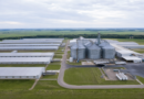 Pilgrim's Pride cria comitê para avaliar proposta da JBS