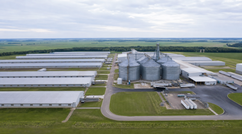 Pilgrim's Pride cria comitê para avaliar proposta da JBS