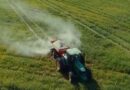 Por que a fertilidade do solo faz diferença na produção do pasto na seca? Especialista responde