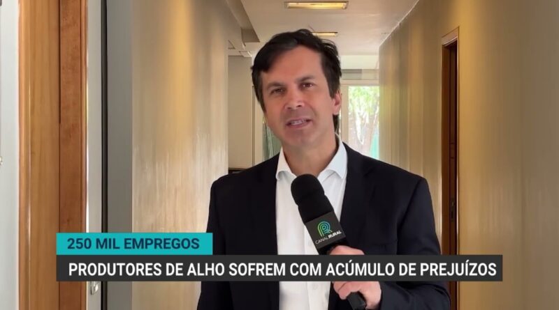 Produtores de alho enfrentam crise e ameaçam 250 mil empregos no Brasil
