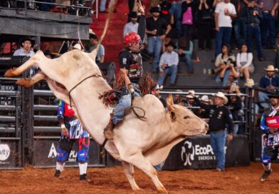 Quanto vale ser campeão em Barretos? Veja a premiação do rodeio em 2026