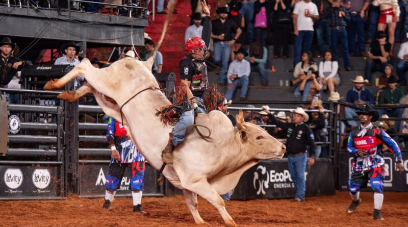 Quanto vale ser campeão em Barretos? Veja a premiação do rodeio em 2026