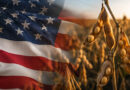 Imagem mostra bandeira dos Estados Unidos e lavoura de soja