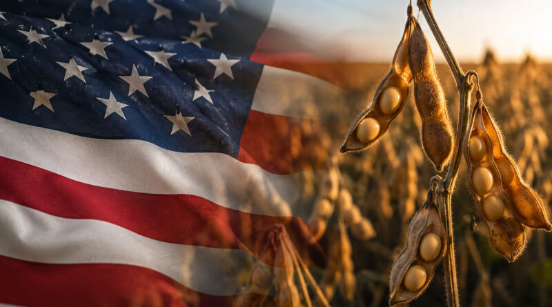 Imagem mostra bandeira dos Estados Unidos e lavoura de soja