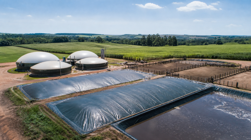 Relatório reúne 15 propostas para cortar emissões de metano na agropecuária