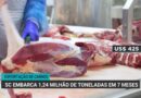 Santa Catarina registra recorde de 1,24 milhão de toneladas em exportações de carnes
