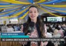 Santa Catarina se destaca na produção e exportação de mel em 2026