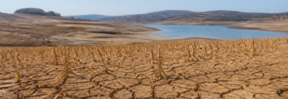 Seca avança no Brasil e no mundo e entra no centro dos debates da COP17