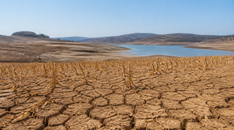 Seca avança no Brasil e no mundo e entra no centro dos debates da COP17