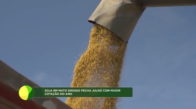 Soja em Mato Grosso atinge maior preço do ano, mas indústria enfrenta desafios