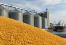 Vendas semanais de milho dos EUA somam 1,05 milhão de toneladas, informa USDA