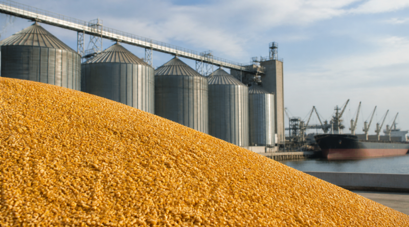 Vendas semanais de milho dos EUA somam 1,05 milhão de toneladas, informa USDA