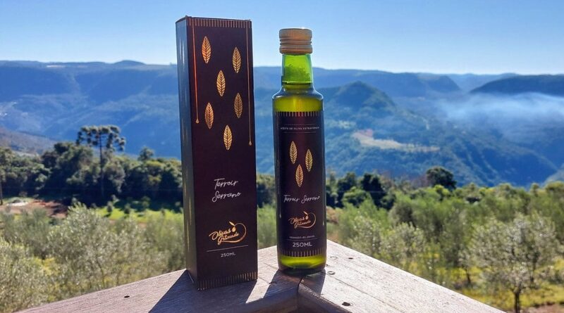 azeite brasileiro Terroir Gramado